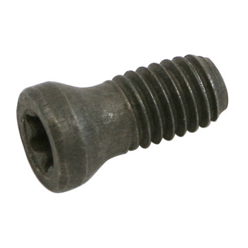 Screw, Insert Retaining, IS 3007