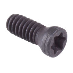 Screw, Insert Retaining, 17 mm